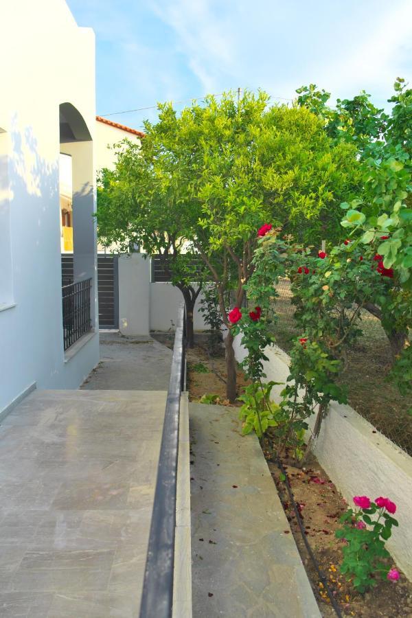 Giovana'S Pool House Αίγινα Εξωτερικό φωτογραφία